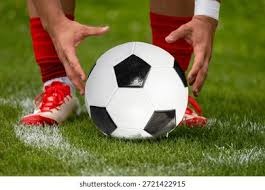 跳水——广东队获得男子团体冠军(2)