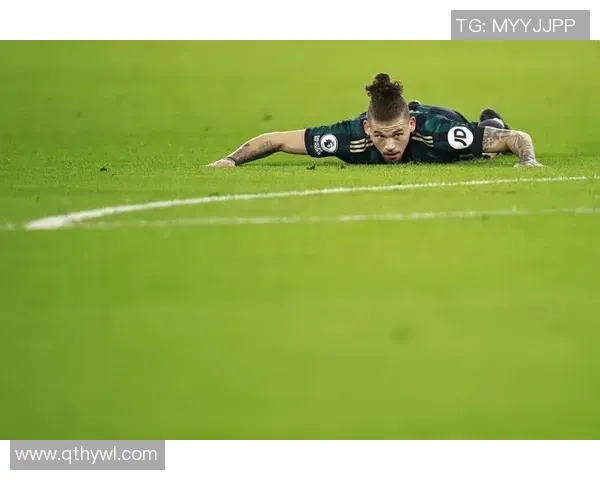 • 具备卓越的多面手属性